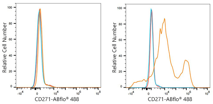 ABflo® 488 Rabbit anti-Mouse CD271/NGFR mAb