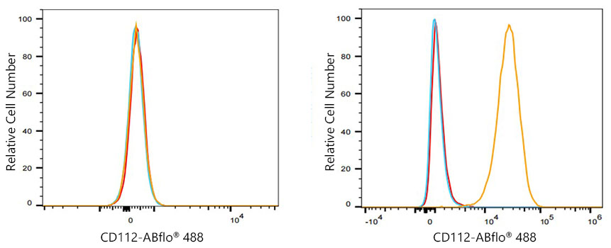 ABflo® 488 Rabbit anti-Human CD112/Nectin-2 mAb