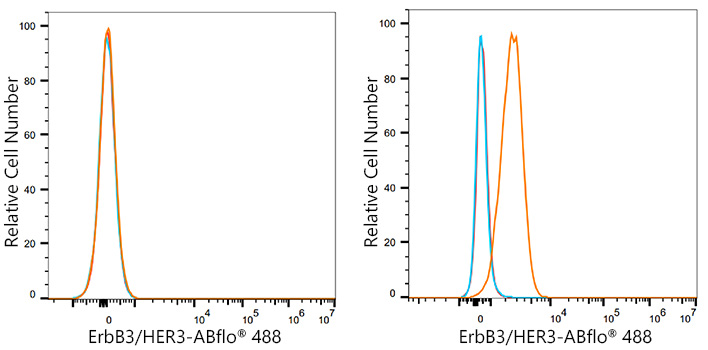 ABflo® 488 Rabbit anti-Human ErbB3/HER3 mAb