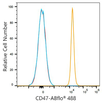 ABflo® 488 Rabbit anti-Mouse CD47 mAb