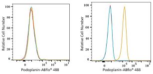 Flow CytoMetry - ABflo® 488 Rabbit anti-Human Podoplanin mAb (A24408)