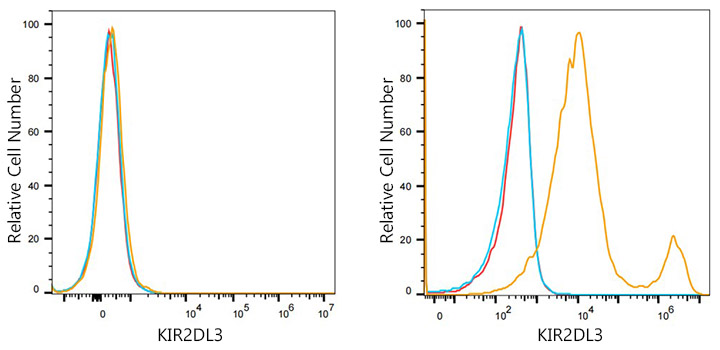 KIR2DL2/KIR2DL3 Rabbit monoclonal antibody