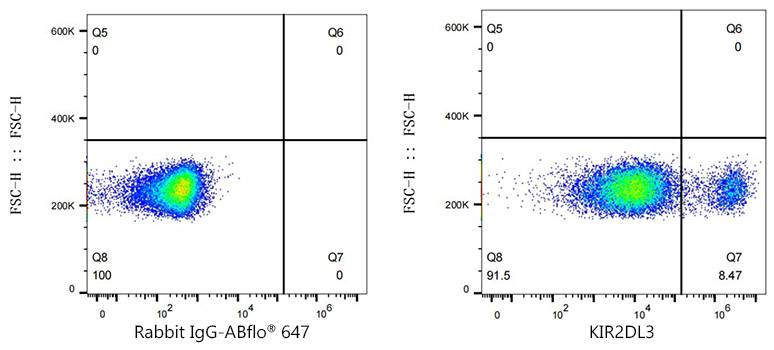 KIR2DL2/KIR2DL3 Rabbit monoclonal antibody