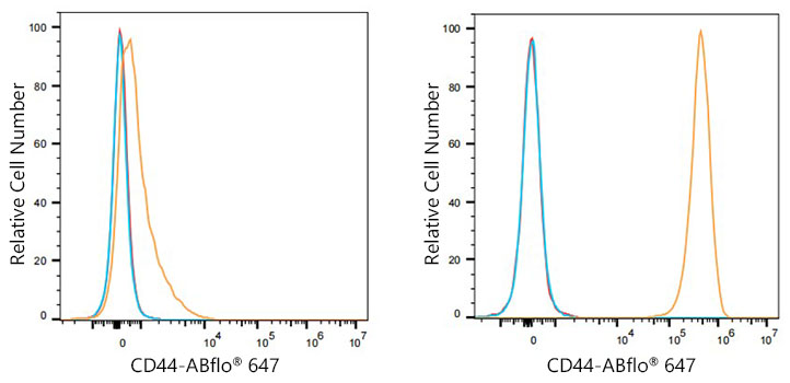 CD44 Rabbit monoclonal antibody