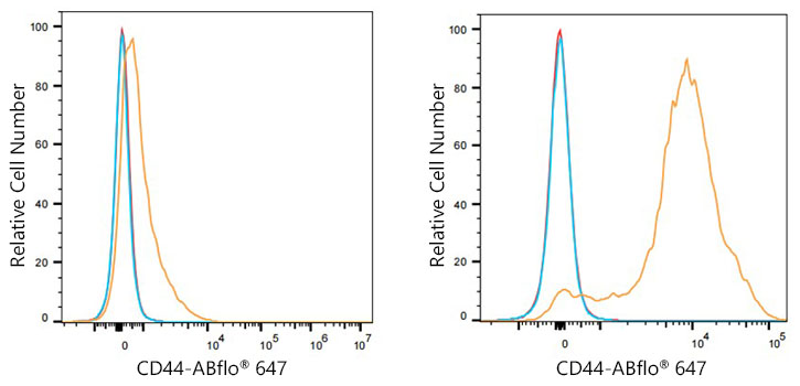 CD44 Rabbit monoclonal antibody