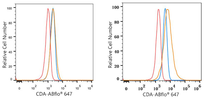CDA Rabbit monoclonal antibody