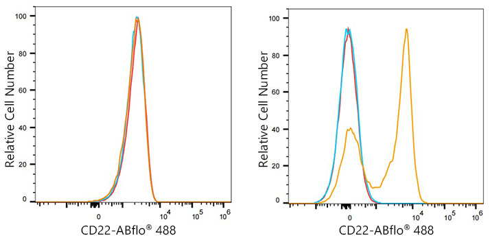 Cd22 Antibody