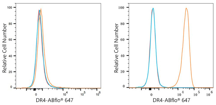 DR4 Rabbit monoclonal antibody