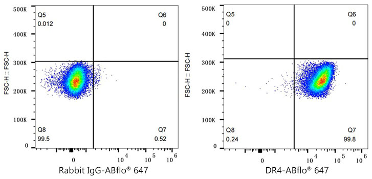 DR4 Rabbit monoclonal antibody