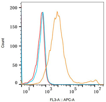 CD25 Rabbit polyclonal antibody