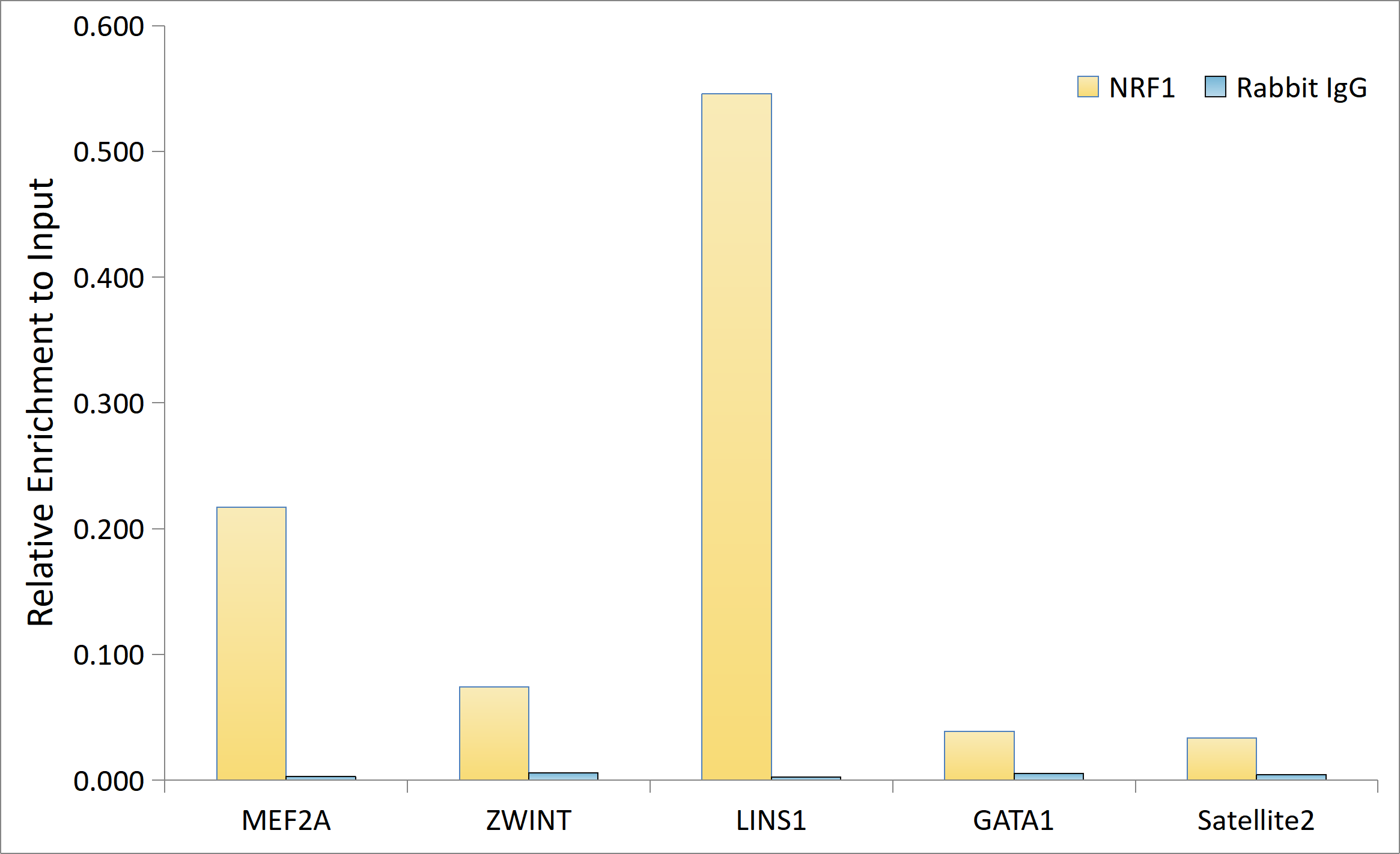 NRF1 Rabbit monoclonal antibody