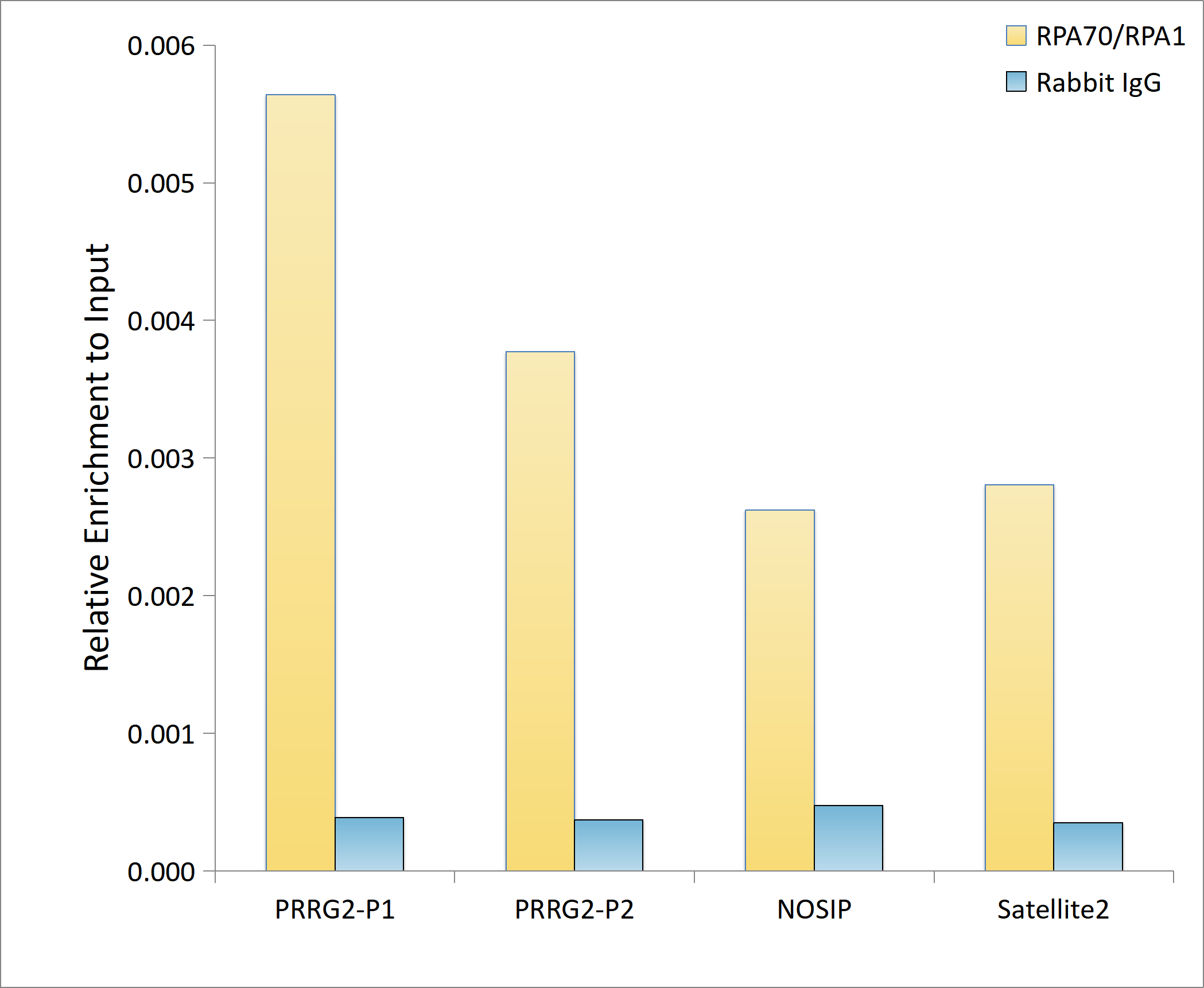 RPA70/RPA1 Rabbit monoclonal antibody