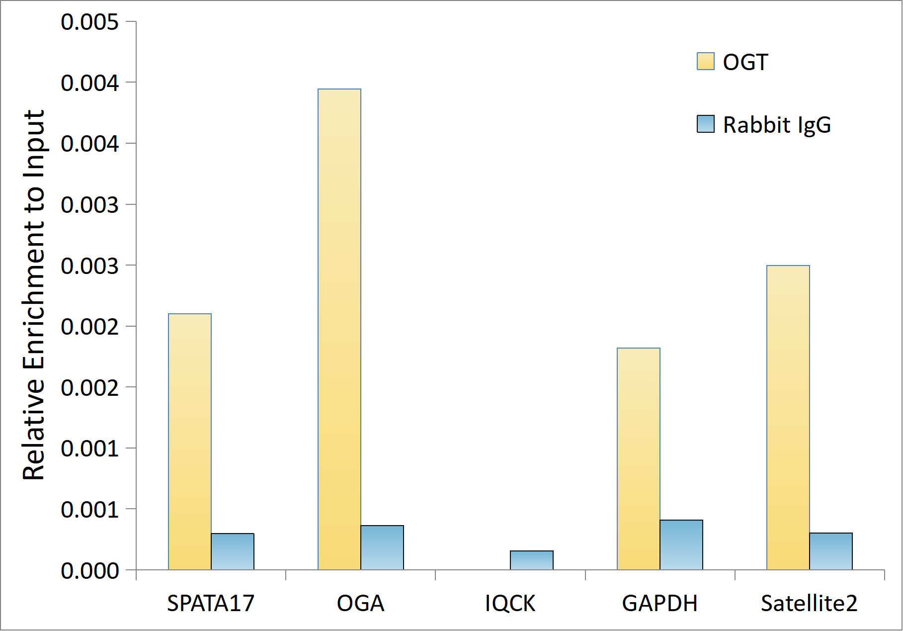 OGT Rabbit monoclonal antibody