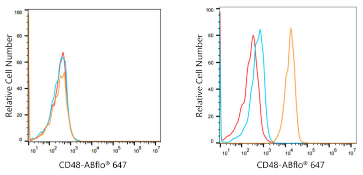 CD48 Rabbit monoclonal antibody