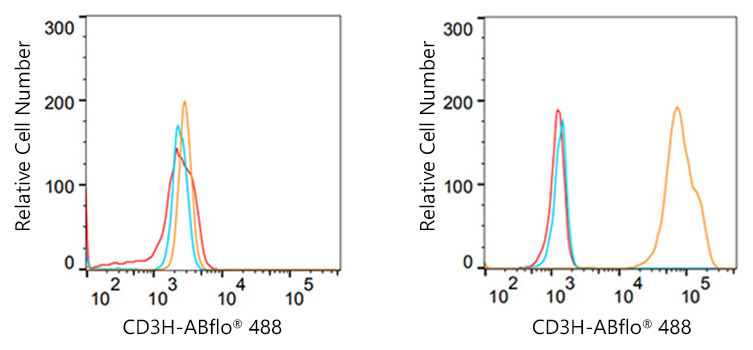 CD3G Rabbit monoclonal antibody