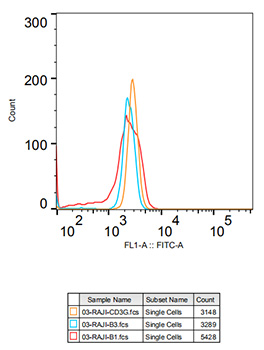 CD3G Rabbit monoclonal antibody