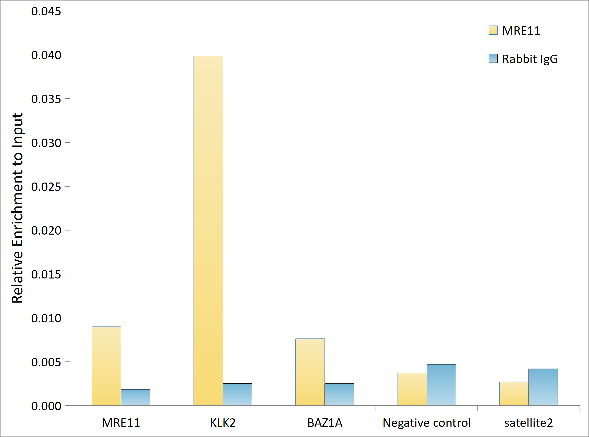 MRE11 Rabbit monoclonal antibody