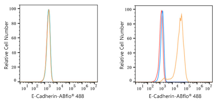 ABclonal:Flow CytoMetry - ABflo® 488-conjugated Donkey Anti-Rabbit IgG (H+L) (AS035)