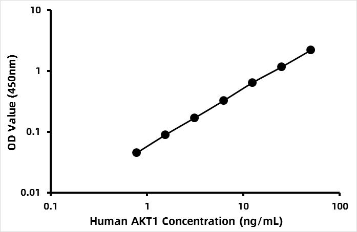Human RAC-alpha serine/threonine-protein kinase (AKT1) ELISA Kit