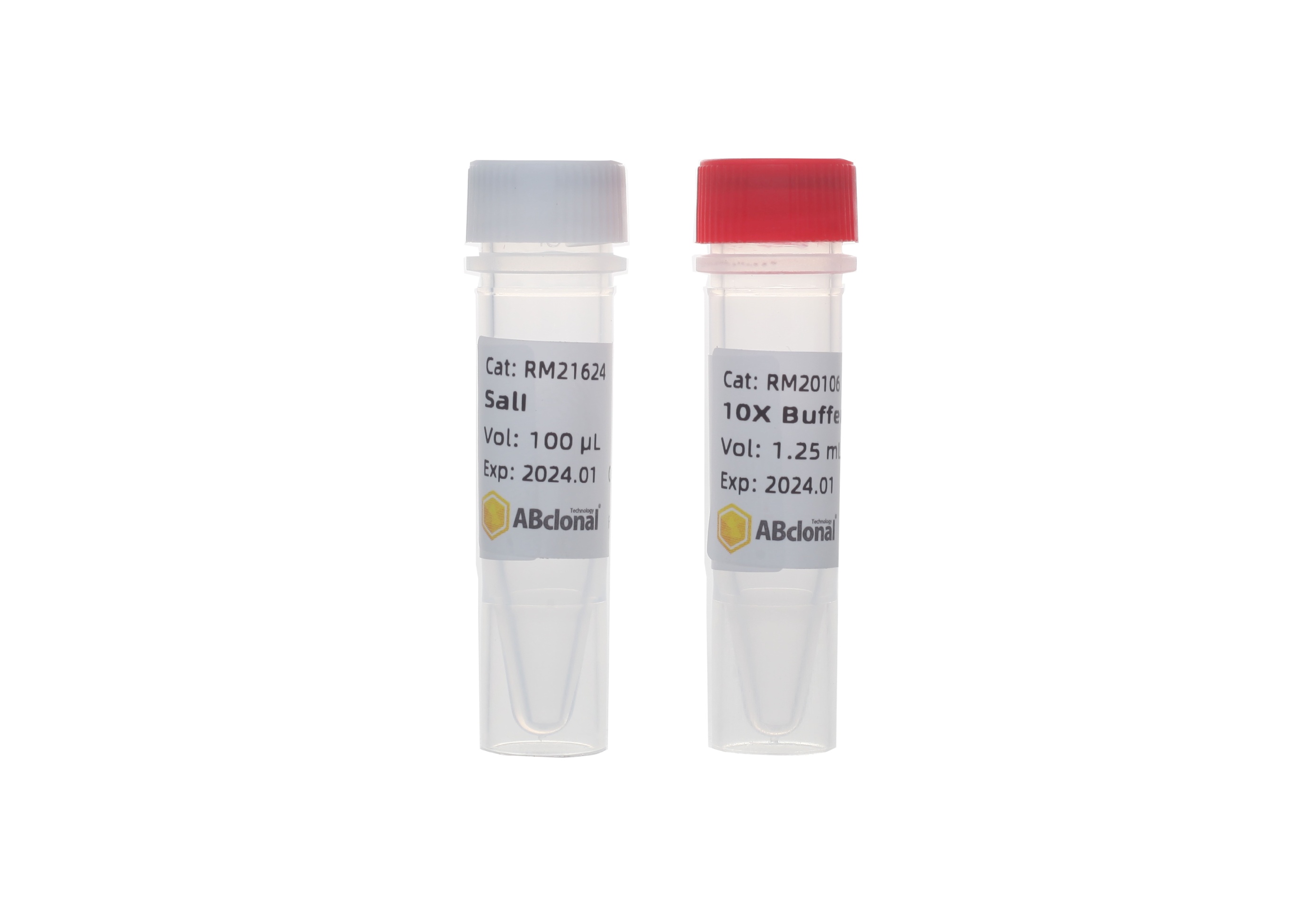 SalI-Restriction Enzymes - ABclonal