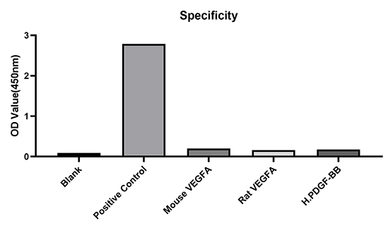 ABclonal:Western blot - Rabbit anti-Human VEGF165 (DET) (RM17781) ABclonal:Western blot - Rabbit anti-Human VEGF165 (DET) (RM17781)}