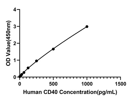 ABclonal:Western blot - Rabbit anti-Human CD40 mAb (DET) (RM17916) ABclonal:Western blot - Rabbit anti-Human CD40 mAb (DET) (RM17916)}