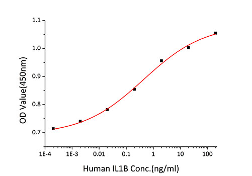 Recombinant Human IL-1 beta Protein