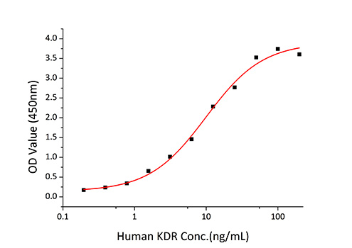 Recombinant Human VEGF-A/VEGF121(K321N) Protein
