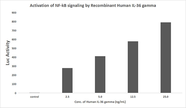 Recombinant Human IL-36 gamma/IL-1F9 Protein