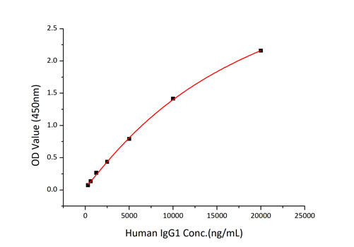 Recombinant Human Fc-gamma RIII alpha/FCGR3A/CD16a Protein