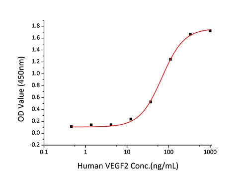 Recombinant Human VEGFR-2/KDR/CD309 Protein