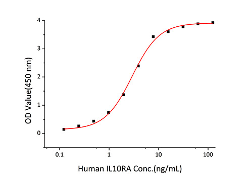 Recombinant Human IL-10 Protein