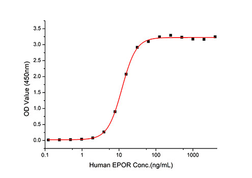 Recombinant Human Erythropoietin R/EPO-R Protein