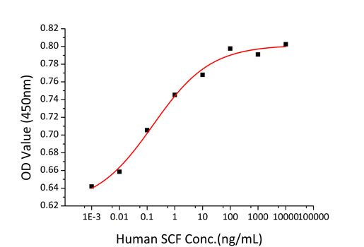 Recombinant Human c-Kit ligand/KITLG/SCF Protein