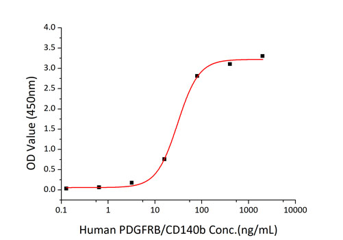 Recombinant Human PDGFR-beta/CD140b(E241D) Protein