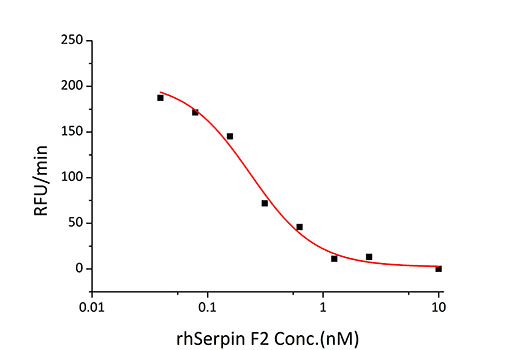 Recombinant Human Serpin F2/Alpha-2-antiplasmin Protein