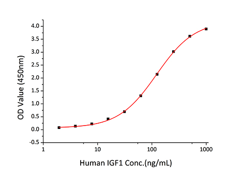 Recombinant Human IGFBP-4 Protein