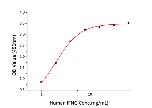 Recombinant Human IFN-gamma R1/CD119 Protein