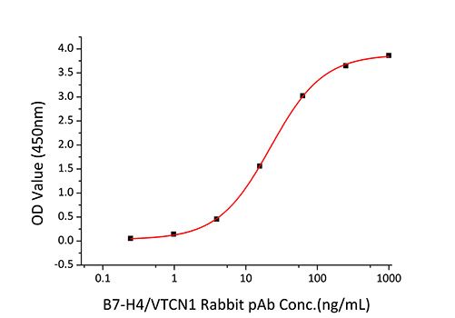 Recombinant Human B7-H4/VTCN1 Protein