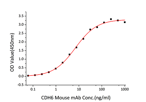 Recombinant Human CDH6/K-Cadherin Protein