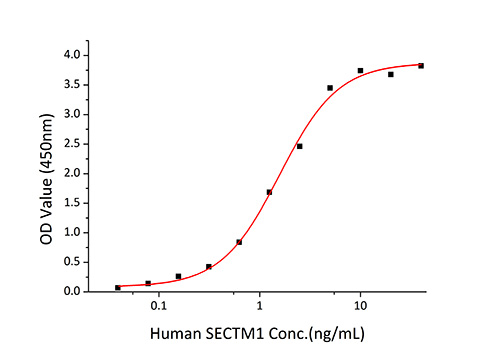 Recombinant Human SECTM1 Protein