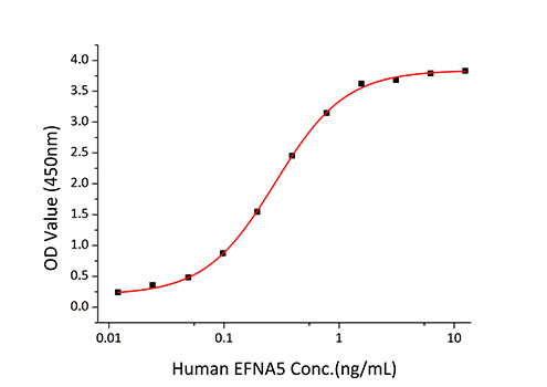 Recombinant Human EphA3 Protein