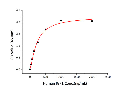 Recombinant Human IGF-I Protein
