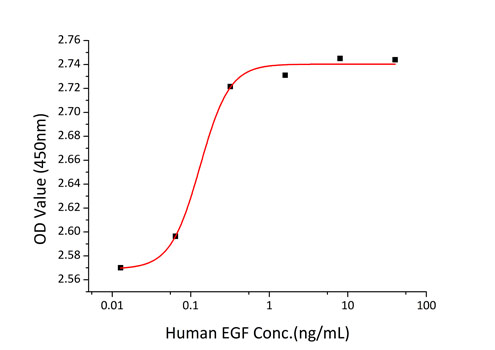 Recombinant Human EGF Protein