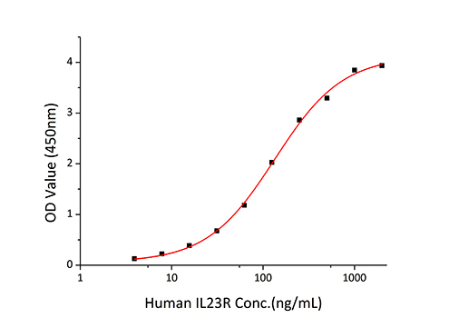 Recombinant Human IL-23/IL-12B&IL-23A Protein