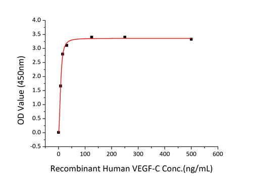Recombinant Human Flt4 ligand/VEGF-C Protein