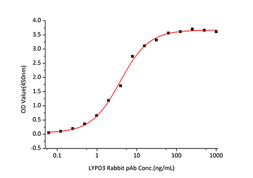 Recombinant Human LYPD3 Protein
