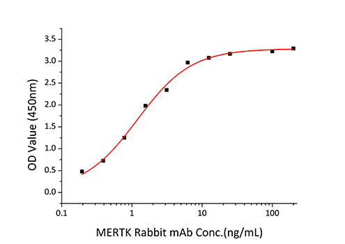 Recombinant Human MERTK Protein