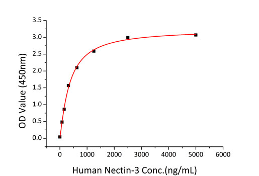 Recombinant Human Nectin-1/PVRL1/CD111 Protein