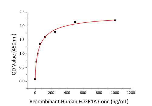 Recombinant Human Fc gamma RI/FCGR1/CD64 Protein